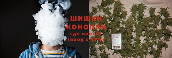 кокс Корсаков