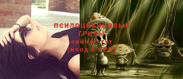 альфа пвп Козельск